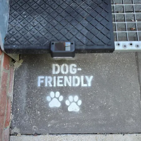 Zentrale Wohnung, Haustiere- Und Kinderfreundlich Lägenhet