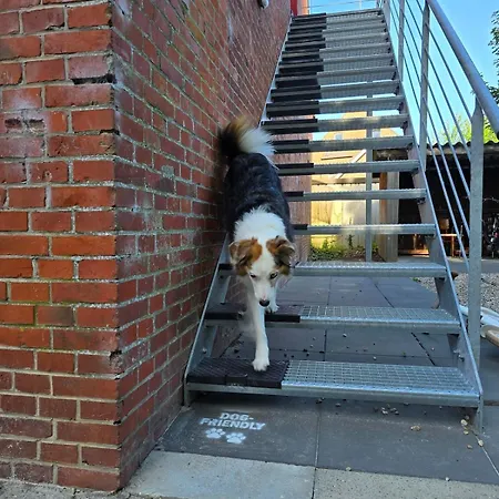 Zentrale Wohnung, Haustiere- Und Kinderfreundlich Lägenhet Weener