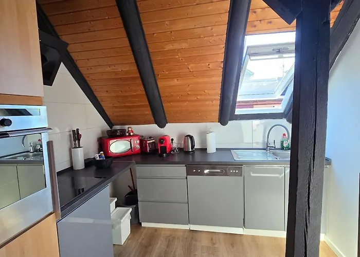 Zentrale Wohnung, Haustiere- Und Kinderfreundlich
