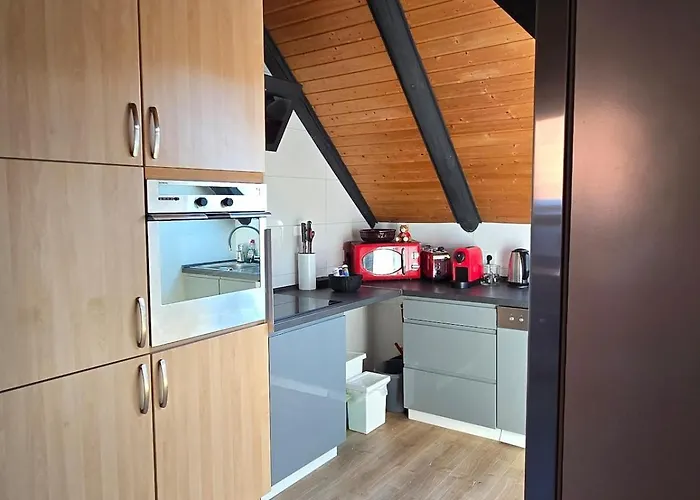 Zentrale Wohnung, Haustiere- Und Kinderfreundlich *