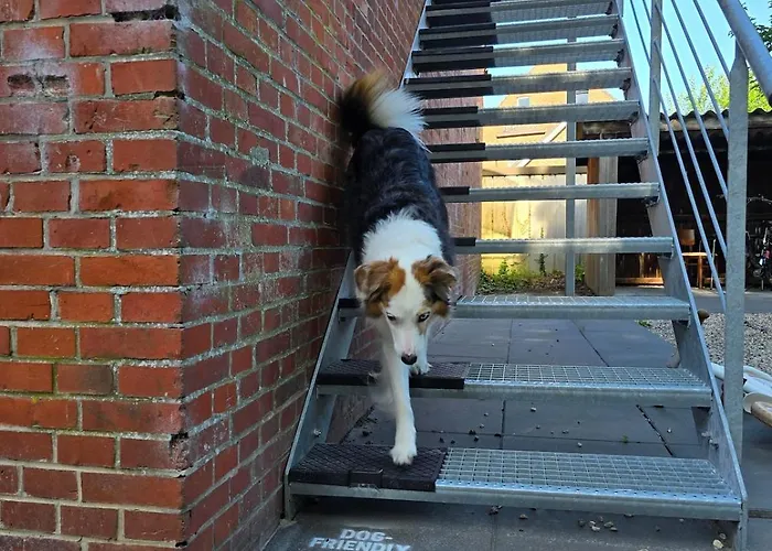 Zentrale Wohnung, Haustiere- Und Kinderfreundlich Appartement Weener